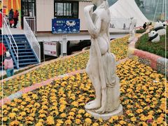 -美心红酒小镇游乐园