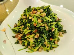 香干马兰头-博雅渔港·融合菜(维也纳国际大酒店)