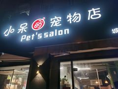 -小呆的宠物店·宠物售卖·宠物寄养(城西店)