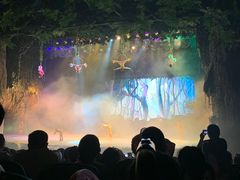 -芜湖方特旅游度假区