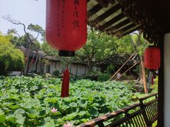 -上海醉白池公园