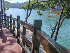 -广州市流溪河国家森林公园