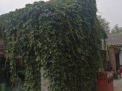 -茯茶镇