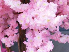 -金茂览秀城