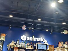 -Animate(工人体育场东路店)