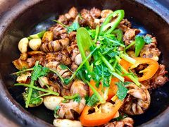 -津津菜馆(绝没分店)