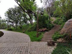 -乌山风景区