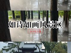 -东湖落雁景区