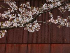 -龙美术馆(西岸馆)