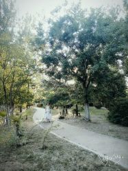 -天一婚纱摄影TIA STUDIO(珠海路店)