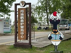 -盐城丹顶鹤湿地生态旅游区