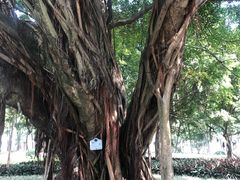 景点-广州中山纪念堂