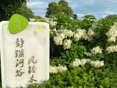 -深圳人才公园