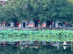 -荔湾湖公园