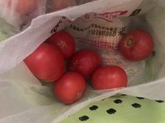 -万源龙顺度假庄园生态观光园