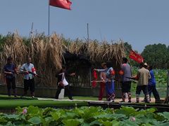 -洪湖生态旅游区