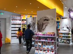 -KKV(深圳宏发大仟里店)