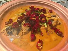 -柿合缘新京菜(国金中心商场店)
