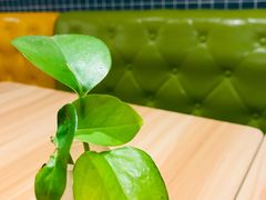 -轻蔬不用等·素食(江苏路店)