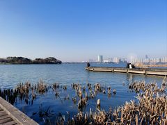 -长广溪湿地公园