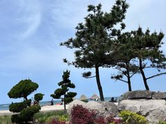 -那香海钻石沙滩浴场