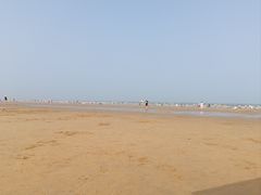 -日照海滨国家森林公园