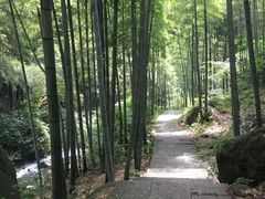 -山沟沟景区
