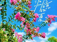 -郑东新区湿地公园