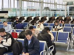 -黄山屯溪国际机场