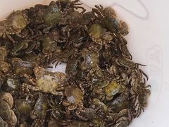 -东戴河风景区-止锚湾