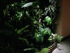 -泽云梵莲花足浴 按摩 SPA(滨湖店)