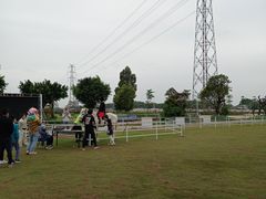 -长洲岛都市农业公园