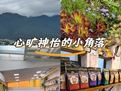 -唐咖精品咖啡(大理古城手冲店)