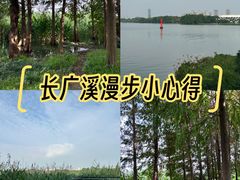-长广溪湿地公园