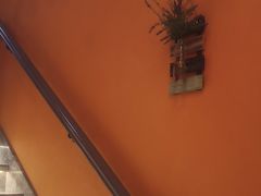 -泰古龙抓龙筋·spa按摩(静安店)