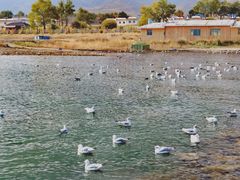 -青海湖国家重点风景名胜区