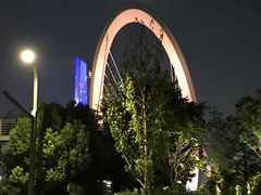 -南京眼步行桥