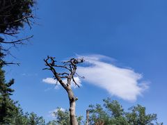 -高尔山公园