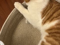 -美联众合动物医院·24h转诊中心