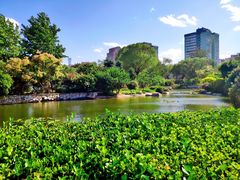 景点-朝阳公园