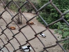 -森林公园(尖草坪区)