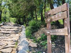 -阳台山自然风景区