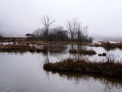 -大九湖