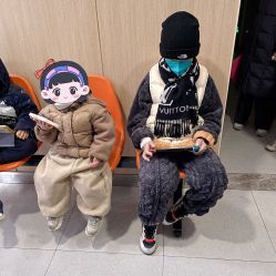 -上海交通大学医学院附属上海儿童医学中心(陆家嘴总院区)