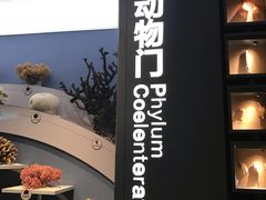 -中国湿地博物馆