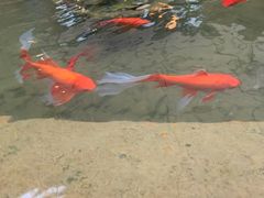 -新竹里馆·花园餐厅(兴苑路店)