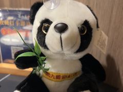 -蜀九香火锅(彩虹店)