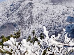 -安吉龙王山风景区