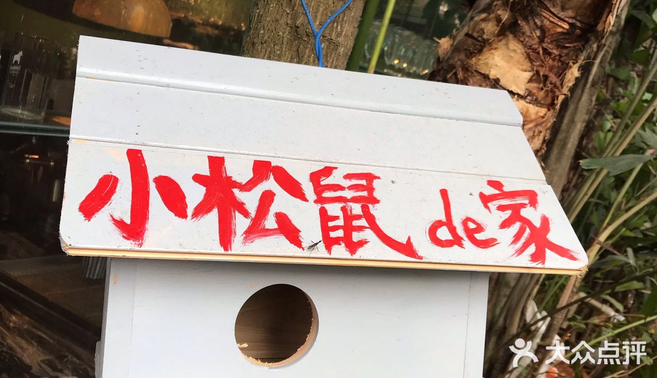 听店里小哥说要给它椰子肉吃，它才会跑出来，好吧