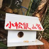 听店里小哥说要给它椰子肉吃，它才会跑出来，好吧